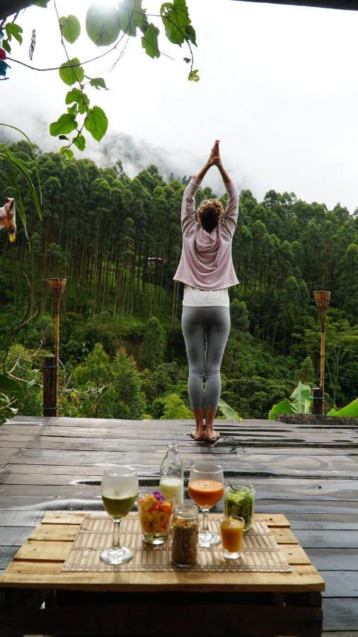 Creo Ecolodge Jardín Eksteriør bilde