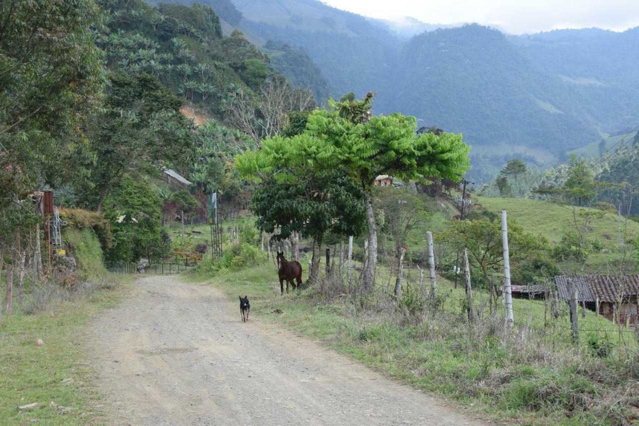 Creo Ecolodge Jardín Eksteriør bilde
